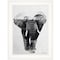 Homeroots Elephant Walk 1 White Framed Print Wall Art 405082 - alternate 1