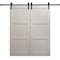 Sartodoors Modern Double Barn Door 48 x 80 inches, Ego 5010 Painted White Oak, 13FT Rail Track Set, Solid Pa EGO5010DB-PWO-48 - alternate 1