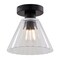 Vaxcel Dalton 1-Light Matte Black Transitional Flush Mount Fixture, Clear Glass Shade C0322 - alternate 1