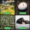 Simple Deluxe Ceramic Heat Emitter 100W Reptile Heat Lamp Bulb No Light Emitting Brooder Coop Heater for Amphibia PTBULBINVISIBLE100WHT - alternate 5