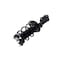 Fcs Struts Suspension Strut And Coil Spring Assembly 1334163R - alternate 5