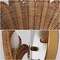 Jonathan Y Elodie 11.5" Vintage Coastal 1-Light Rattan Scallop Shell LED Wall Sconce, Brown/Gold Painting, 2PK JYL5709A-SET2 - alternate 8