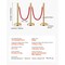 Vevor 6 Pcs Gold Stanchion Post 4 Red Velvet Ropes Sand Injection Hollow Base, 6PK TJDYQ320PDTC6-4 - alternate 2