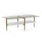 Homeroots 47" Gold Glass And Steel Coffee Table With Shelf 520947 - alternate 1