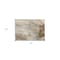 Homeroots 2' X 3' Brown Abstract Washable Non Skid Indoor Outdoor Area Rug 559568 - alternate 4