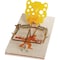 Jt Eaton Bigfoot Mechanical Mouse Trap with Expanded Trigger, 4PK 406XT - alternate 2