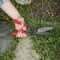 Corona Tools ClassicCUT Sod Cutter and Grass Shears GS 6750D - alternate 2