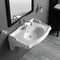 Whitehaus Collection 40 in Rectangular Wall Mount Basin with Integrated Oval Bowl and Ceramic Shelf Supports AR874-MNSLEN-1H - alternate 2