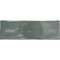 Emser Tile Emser Passion Verde 3''x8'' Glossy Porcelain Wall Tile, 3.92 Sq. ' per Case W32PASSVE0308P28 - alternate 3