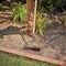 Corona Tools Bow Head Rake, 14 in. Head, 14 Tines, Ash Hardwood Handle RK 65001 - alternate 2