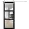 Sartodoors Sturdy Barn Door Frosted Glass, Lucia 2555 Matte Black, 6.6FT Rail Hangers Heavy Hardware Set, So LUCIA2555BD-S-BLK-1884 - alternate 1