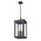 Z-Lite Hartwell 4-Light Outdoor Chain Mount Ceiling Fixture, 10 in W, Sand Black 5019CHB-BK - alternate 3