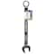 Pro-Grade Tools Combination Wrench, 17mm 11217 - alternate 1