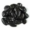 Msi Black 0.75'' - 1.25'' Super Polished Quartzite Pebble 40 Lbs Bag ZOR-LSC-0199 - alternate 3