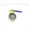Keystone ALUMINUM MANUAL STAINLESS WAFER 4IN BUTTERFLY VALVE 832-703-040-100-050 - alternate 1