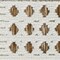 Homeroots 3' X 5' Beige and Brown Geometric Distressed Indoor Outdoor Area Rug 558745 - alternate 6