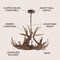 Jonathan Y Nelle 28.5" Adjustable Resin Antler 6-Light Chandelier, Brown JYL6302A - alternate 7