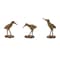 Homeroots Set of Three Brown And Gold Polyresin Sandpiper Bird Figurines, 3PK 634135 - alternate 1