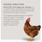 Kent Home Fresh Extra Egg Layer + Omega 50 Lb. Crumble Feed 3685 - alternate 2