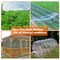 Wrightmaster 8.2 ft. x 10 ft. Insect Screen and Garden Netting Against Bugs, Birds and Squirrels of Mesh Netting ZOR-HONGWANG - alternate 2