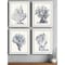 Homeroots Set Of Four Blue Antique Coral White Framed Print Wall Art, 4PK 525714 - alternate 4