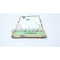 Pulsafeeder PUMP REPAIR KIT KPEBCBEACCC - alternate 3