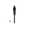 Fcs Struts Suspension Strut And Coil Spring Assembly 1336335 - alternate 1