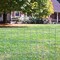 American Posts American Posts 36 in. H X 100 ft. L Steel Welded Wire Fence 2 in. 213600 - alternate 4