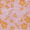 Homeroots 9' X 12' Pink And Copper Floral Washable Indoor Outdoor Area Rug 600040 - alternate 5