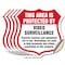 Signmission Video Surveillance Shield Sign This Area, 4 inch X 4 inch, Vinyl Decal, 5PK SHI-D-5PACK-4-473 - alternate 1