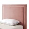 Homeroots Blush Solid Wood Twin Upholstered Velvet Bed with Nailhead Trim 544787 - alternate 3