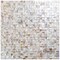 Apollo Tile Concha 11.8 in. x 11.8 in. Polished White, Beige Shell, Mother of Pearl Mosaic Wall Tile, 20PK APLSMA88SQ01A - alternate 3
