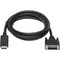 Tripp Lite 10FT DISPLAYPORT DVI-D CABLE ADAPTER M/M P581-010 - alternate 3