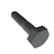 Zoro Select Not Graded, 1/4"-20 Hex Head Cap Screw, Black Oxide Stainless Steel, 1-1/4 in L, 100 PK 31-BLH-25C-125 - alternate 2