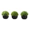 Monarch Specialties Artificial Plant, 5'' Tall, Grass, Indoor, Faux, Decorative, Green Plants, Black Pots, 3PK I 9552 - alternate 2