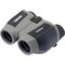 Carson Compact Binocular, 10 x 25 Magnification, BK-7 Prism, 342 ft Field of View at 1000 yd Field of View JD-025 - alternate 1