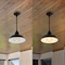 Jonathan Y Jasper 12.25" 1-Light Farmhouse Industrial Indoor/Outdoor Iron LED Pendant, Black JYL7611B - alternate 4