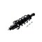 Fcs Struts Suspension Strut And Coil Spring Assembly 2355016L - alternate 2