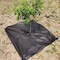 Wrightmaster 3.3 ft. W x 3.3 ft. L Light Duty Non-Woven Weed Barrier Fabric with Ground Nail, 5-Pack ZOR-FANGCAOBU - alternate 3