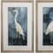 Homeroots Set of Two Teal Blue Heron Framed Art, 2PK 472104 - alternate 3