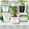 Campior Plastic Plant Pots with Drainage, Home Decor Flower Pot, Stackable Design for Indoor, 5PK CMPWHT55 - alternate 4