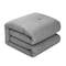 Homeroots Gray Twin 100% Cotton 140 Thread Count Washable Down Comforter Set 528873 - alternate 1