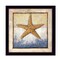 Homeroots Starfish Black Framed Print Wall Art 404899 - alternate 1