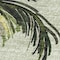 Homeroots 50" X 70" Green Palm Tree Microfiber Plush Throw Blanket 712989 - alternate 3