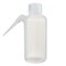 Nalgene Wash Bottle, Plastic, Colorless, PK48 2402-0125 - alternate 2