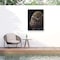 Trademark Fine Art Outdoor Canvas Art David Stribbling Baby Gorilla Wall Art for Patios, or Gardens GRL01569-OC2432WR - alternate 1