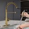 Anzzi Touchless PullDown Faucet with Fan Sprayer, Brushed Gold KF-AZ303BG - alternate 4