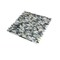 Apollo Tile Beige Brown 11.8 in x 11.8 in Shell Polished Floor and Wall Mosaic Tile 19.34 sqft/case, 20PK APLJWS8801A - alternate 2