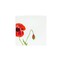Homeroots Red and White Six Piece Square Floral Bone China Service For Six Salad Plate Set 483516 - alternate 4