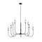 Z-Lite Allistair 10-Light Chandelier, 42 in W, Matte Black 352-10MB - alternate 3